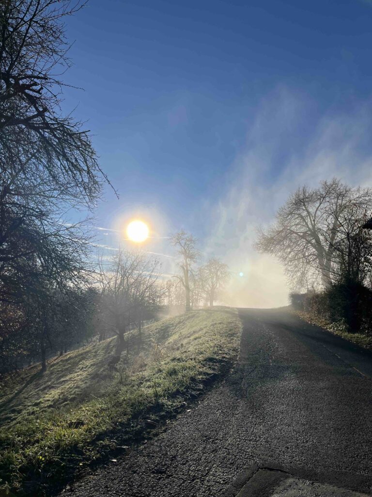 Nebelschwaden in der Sonne