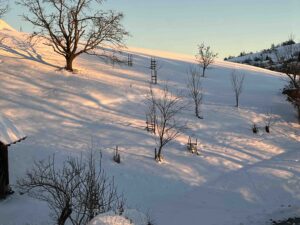 Streuobstwiese im Schnee